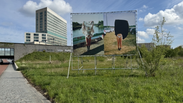 Bredase Suzie (21) maakt statement met opvallende kunst langs de Belcrumweg