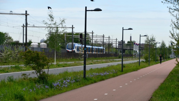 Minder treinen tussen Breda en Rotterdam door harde wind